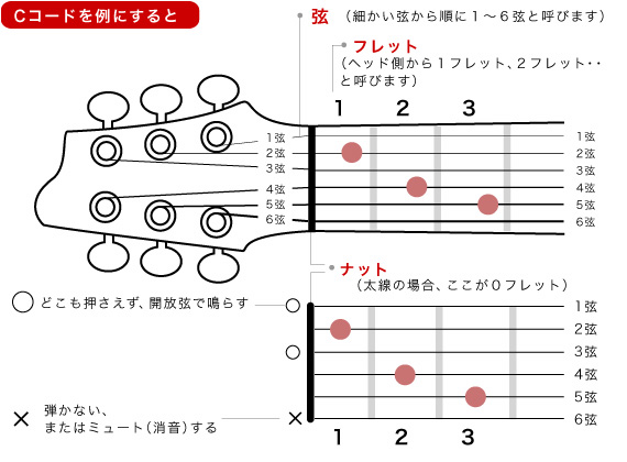 ギター 初心者